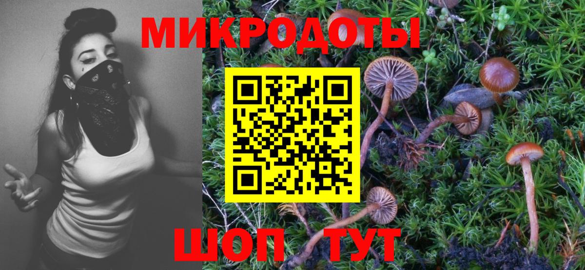 Галлюциногенные грибы GOLDEN TEACHER Гусиноозёрск